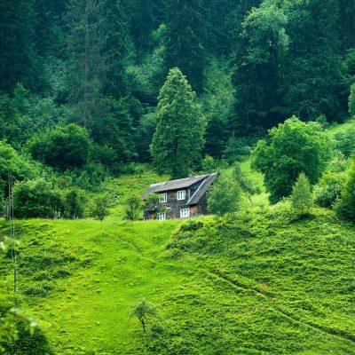 A scenic view of a quaint wooden house nestled amidst lush greenery in Ukraine's countryside.